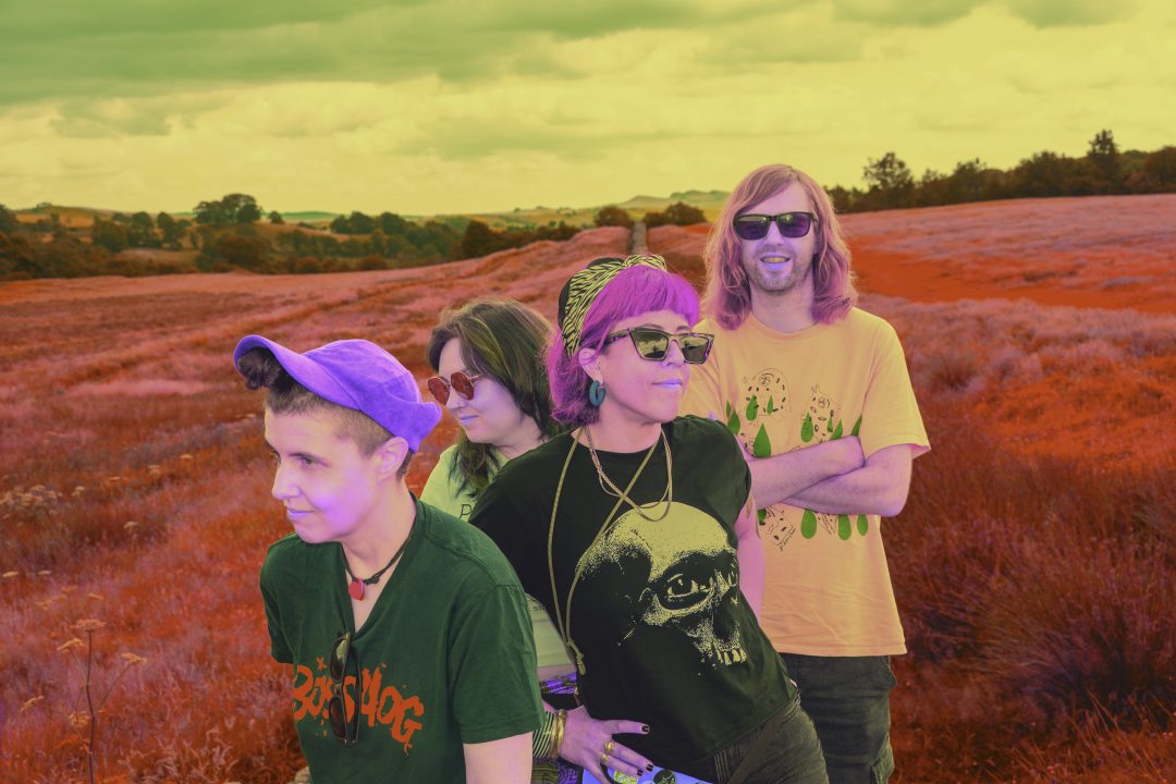 promo picture of Sha Ravari & The Maybes. They are stood i an overgrown field.
